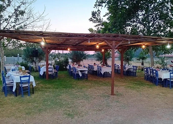 Petros Rooms To Let Kalogria Beach