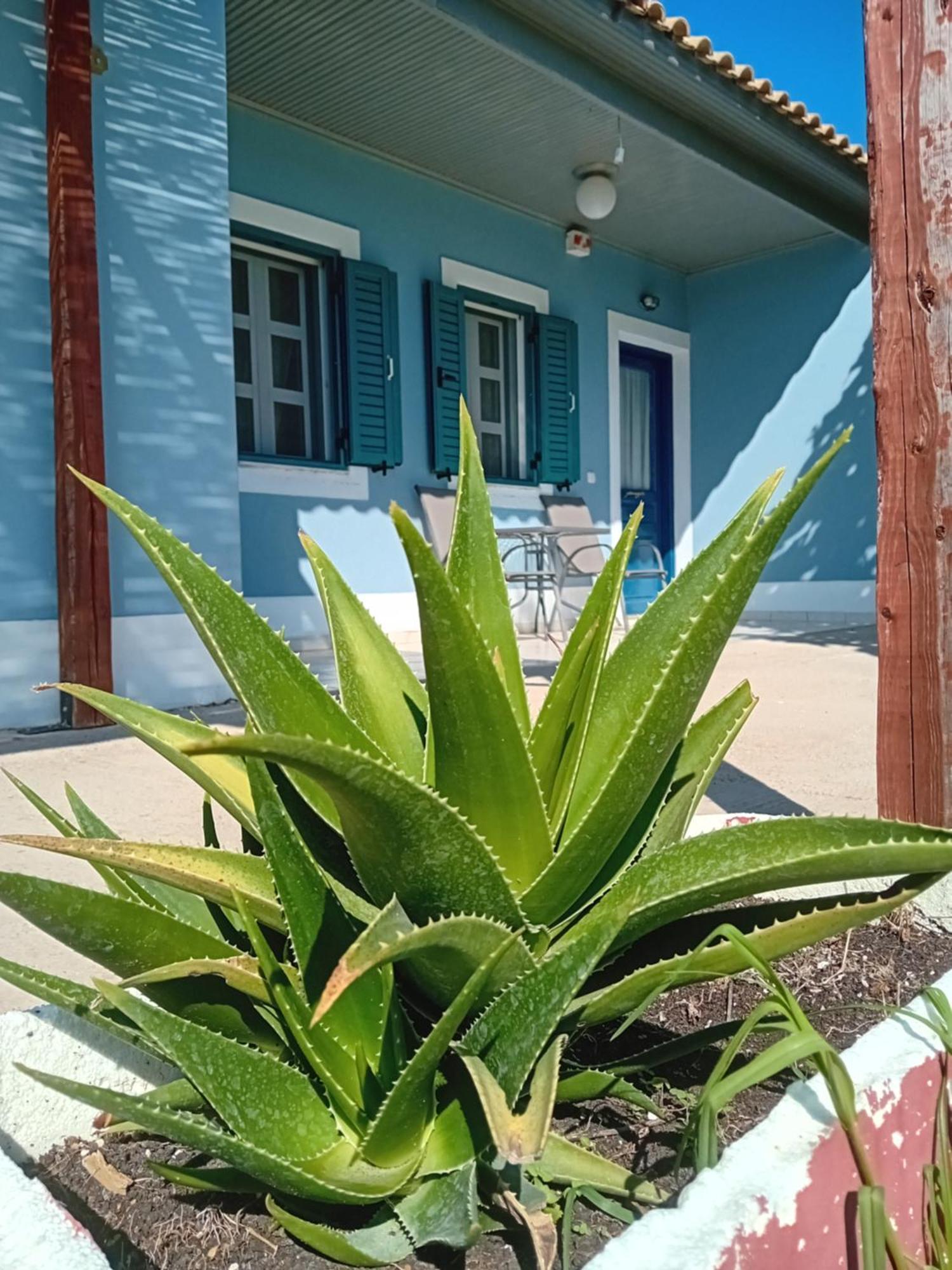 Farm stay Petros To Let Kalogria (Achaea)