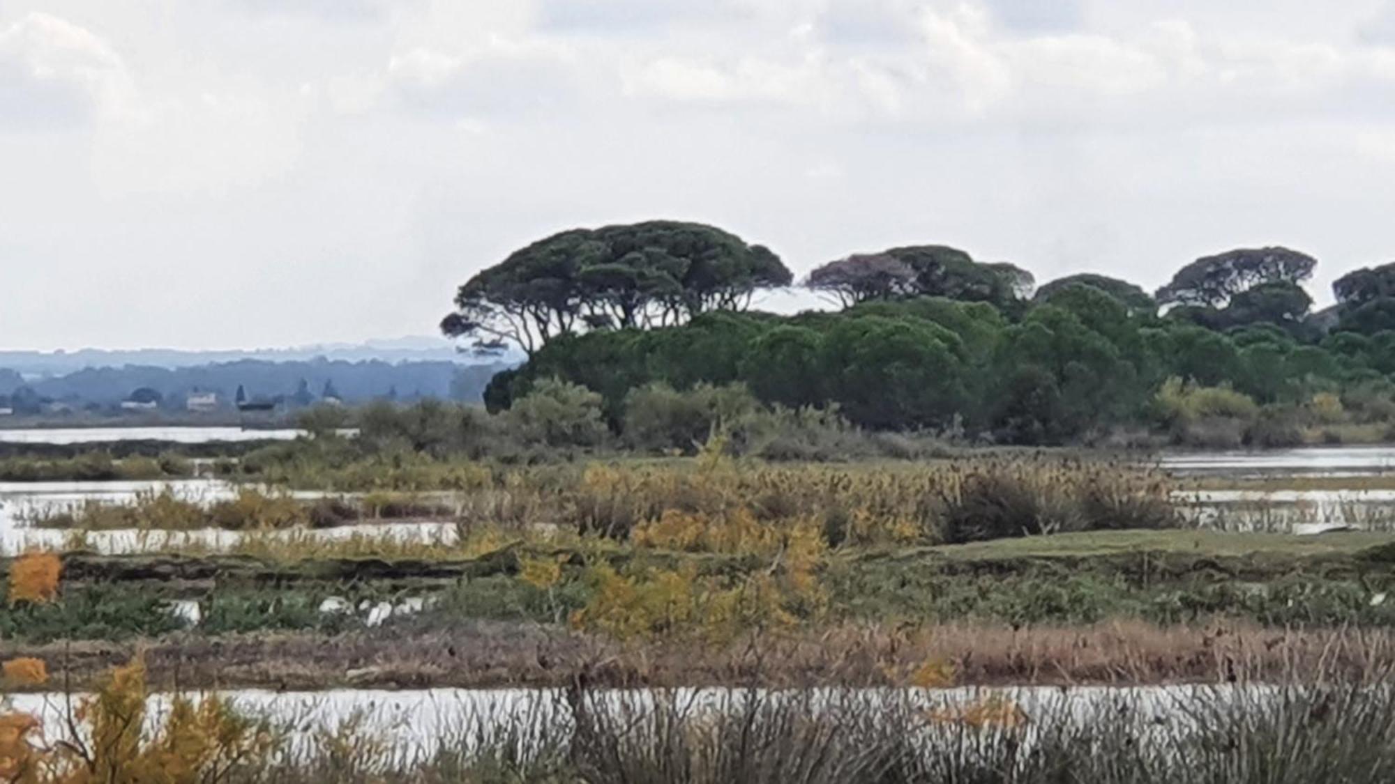 Farm stay Petros To Let Kalogria (Achaea)