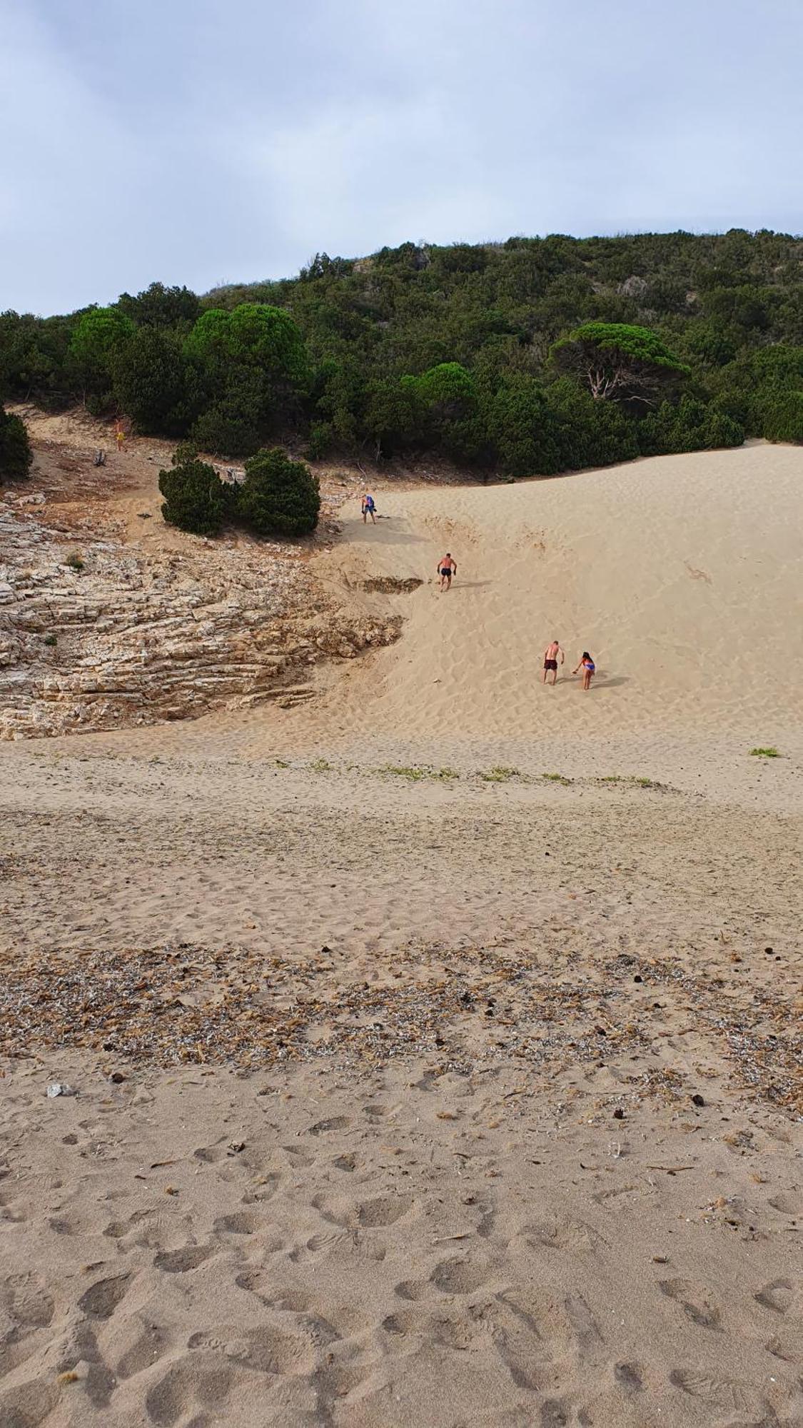 Petros To Let Farm stay Kalogria (Achaea)