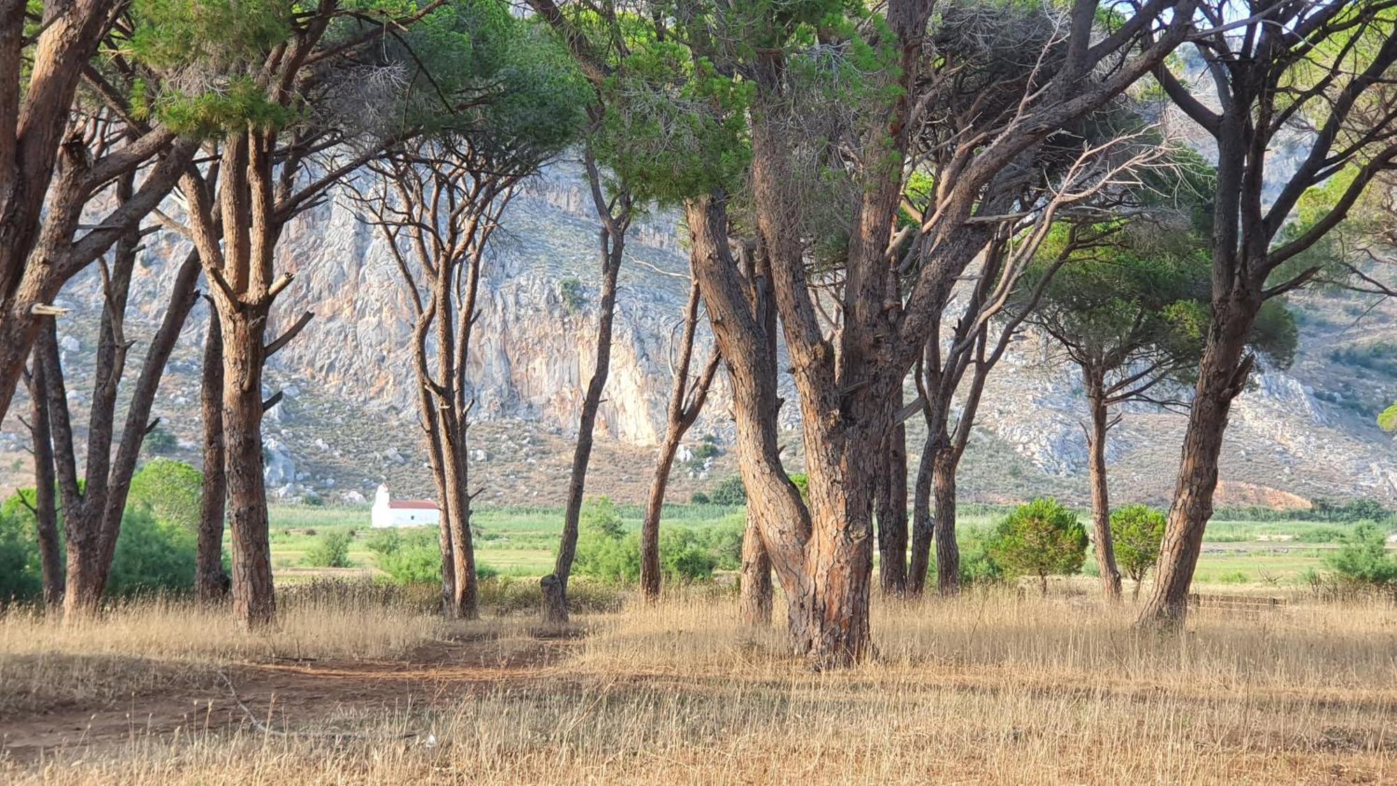 Farm stay Petros To Let Kalogria (Achaea)